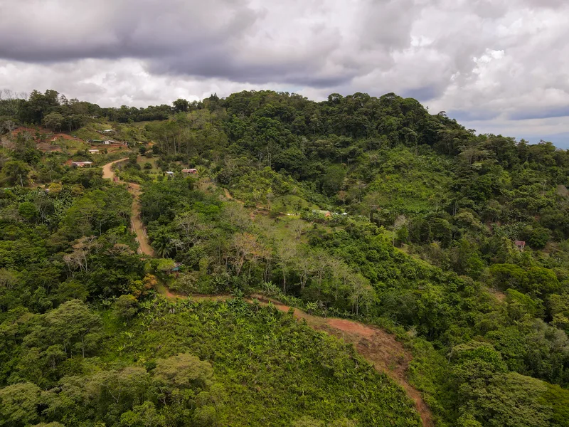 Land For Sale in Perez Zeledon, photo 7