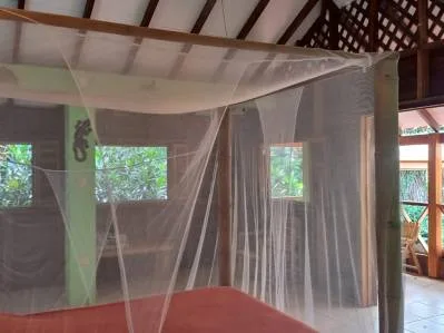 Casitas Caribeñas cerca de una linda Playa en Cahuita, photo 5