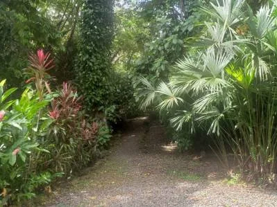 Casitas Caribeñas cerca de una linda Playa en Cahuita, photo 10