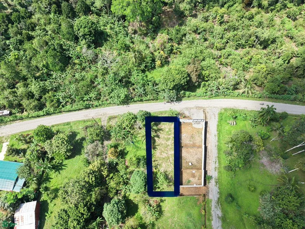 Lote en Venta en Carbón a Minutos de Puerto Viejo y Cahuita, photo 2