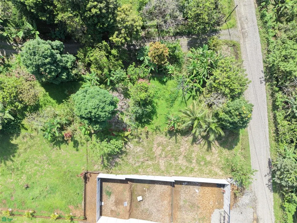 Lote en Venta en Carbón a Minutos de Puerto Viejo y Cahuita, photo 6
