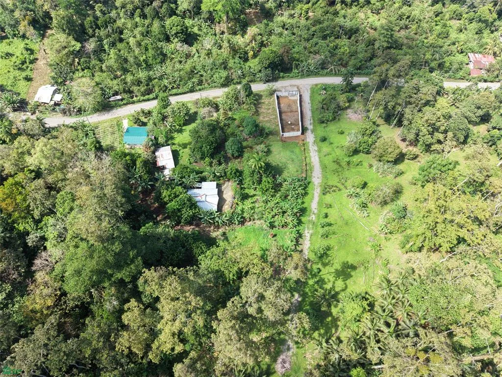 Lote en Venta en Carbón a Minutos de Puerto Viejo y Cahuita, photo 7