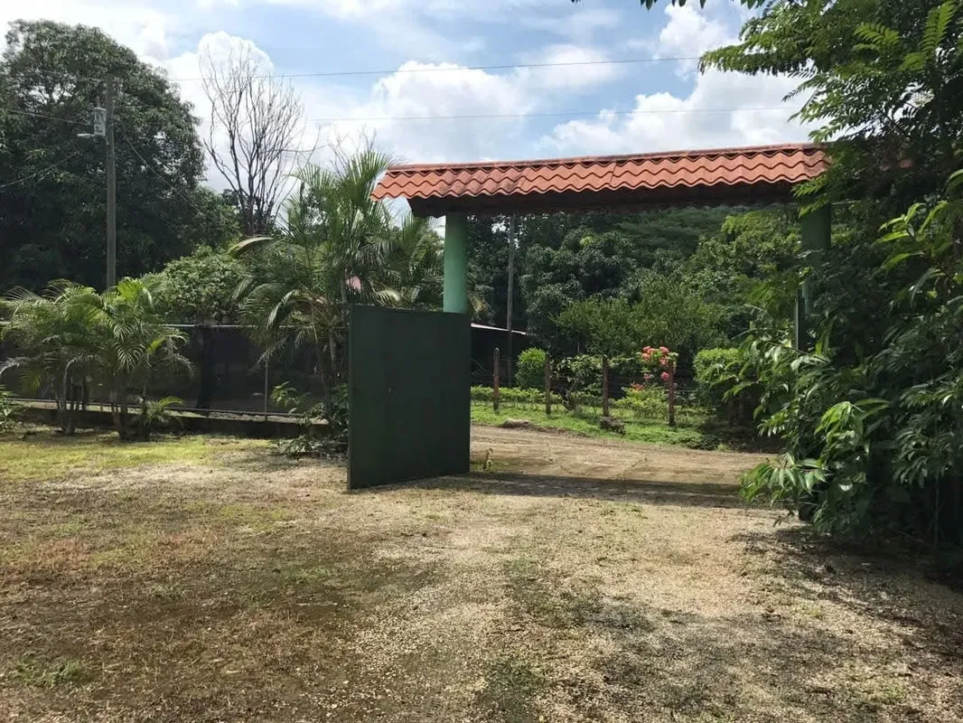 Looking for space, tranquility, and a smart investment in Costa Rica?, photo 2