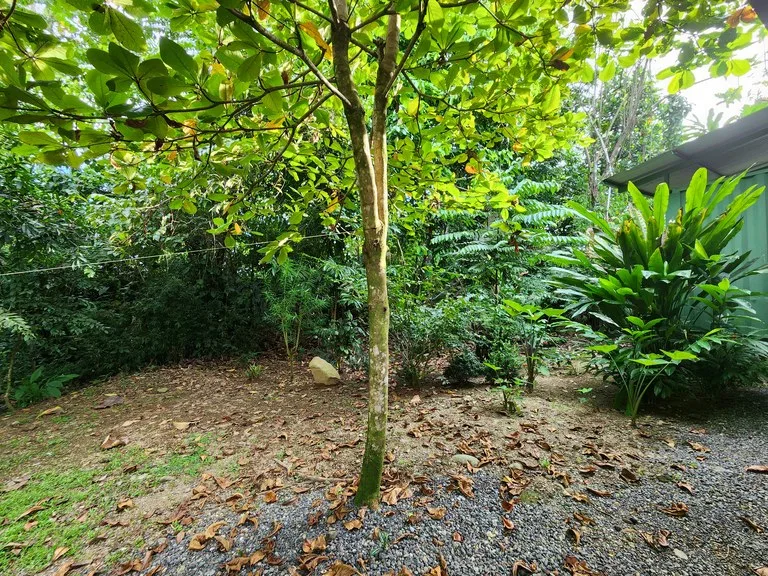 FOR SALE IN UVITA HOUSE WITH STUDIO APARTMENT AND RIVER ACCESS, photo 13