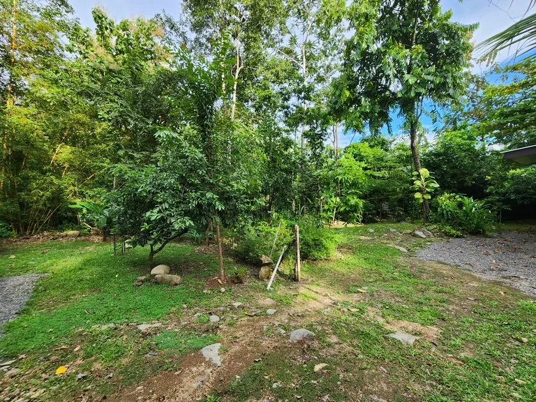 FOR SALE IN UVITA HOUSE WITH STUDIO APARTMENT AND RIVER ACCESS, photo 15
