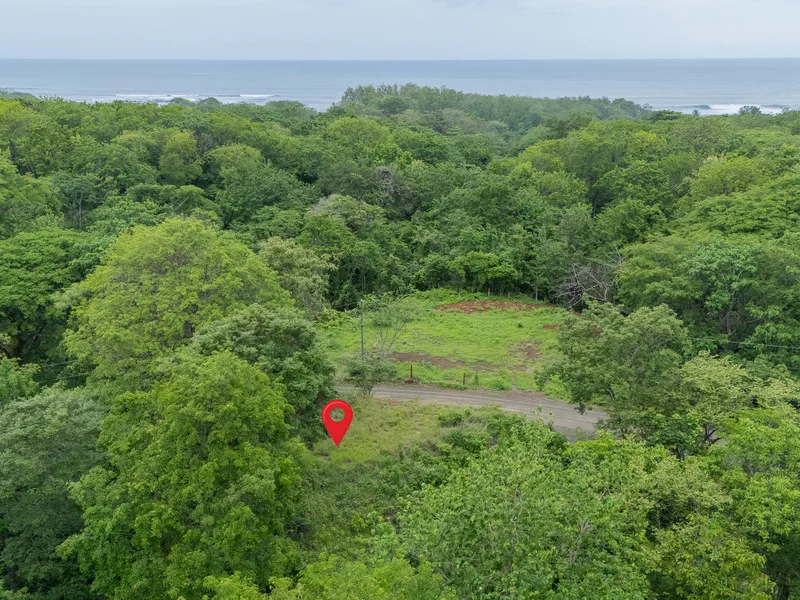 Land For Sale in Nosara, photo 2