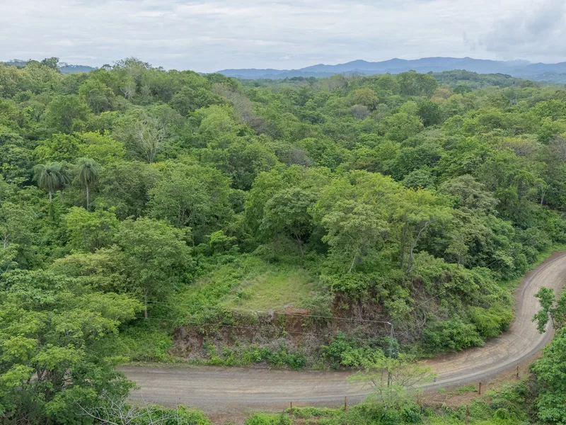 Land For Sale in Nosara, photo 3