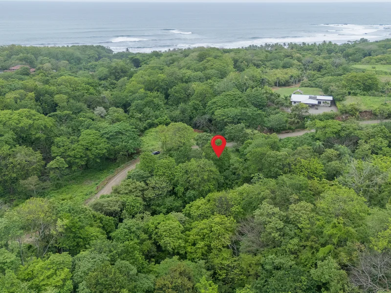 Land For Sale in Nosara, photo 4