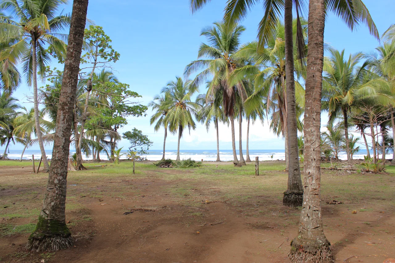 Exceptional Beachfront Property with 10-Year Concession - A Rare Opportunity