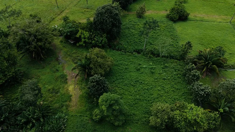 Strategic 5000sqm Commercial Property in Uvita: Perfect for any Business Vision, photo 2
