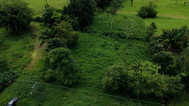 Strategic 5000sqm Commercial Property in Uvita: Perfect for any Business Vision, photo 3
