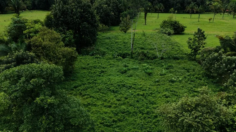 Strategic 5000sqm Commercial Property in Uvita: Perfect for any Business Vision, photo 4