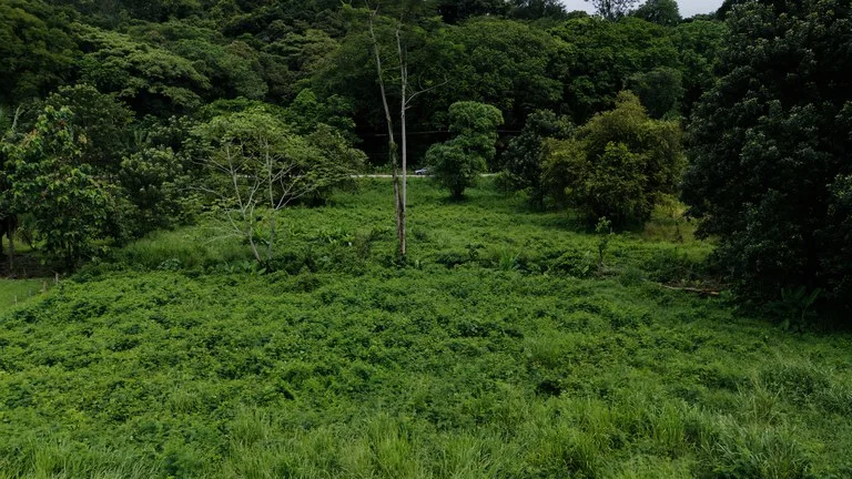 Strategic 5000sqm Commercial Property in Uvita: Perfect for any Business Vision, photo 7