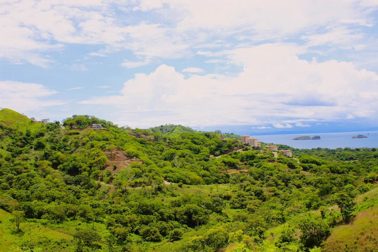 Ocean View Lot in Cactus Heights