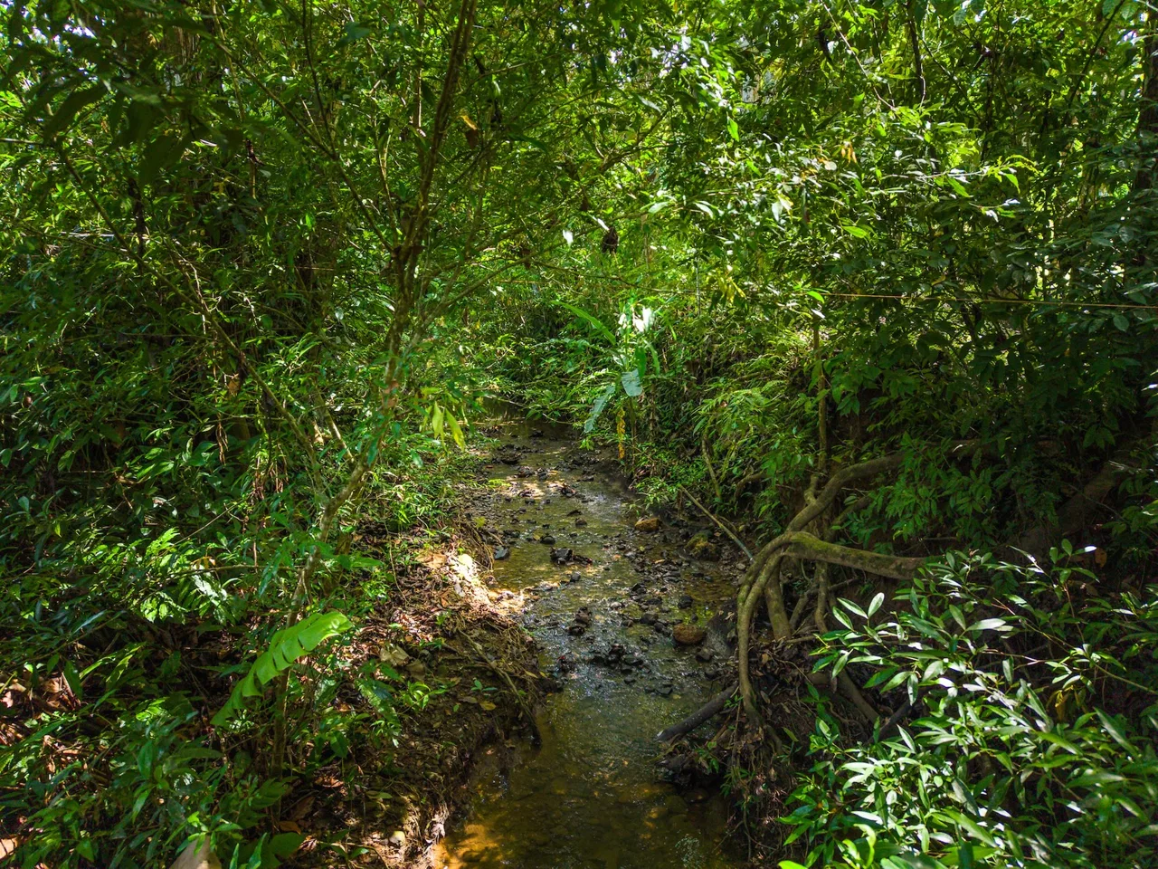 PROPERTY WITH TWO BEDROOMS WITH A PRIVATE CREEK, IN UVITA CENTER – 0.29 ACRES, photo 15