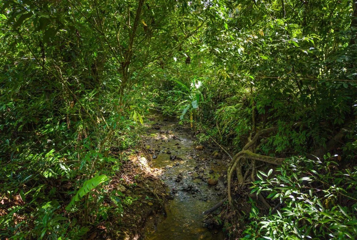 PROPERTY WITH TWO BEDROOMS WITH A PRIVATE CREEK, IN UVITA CENTER – 0.29 ACRES, photo 16