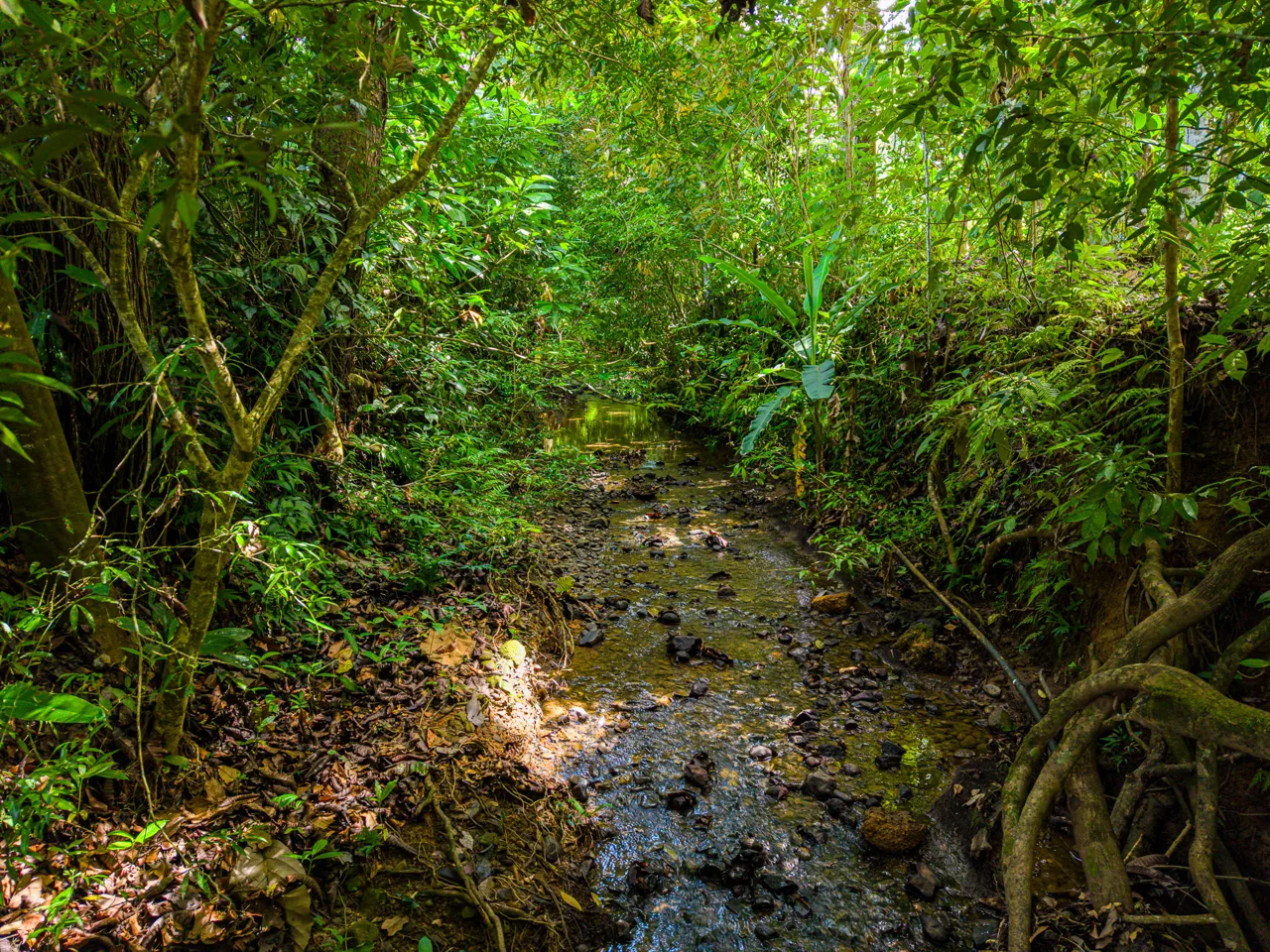 PROPERTY WITH TWO BEDROOMS WITH A PRIVATE CREEK, IN UVITA CENTER – 0.29 ACRES, photo 17