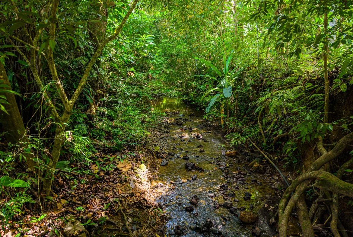 PROPERTY WITH TWO BEDROOMS WITH A PRIVATE CREEK, IN UVITA CENTER – 0.29 ACRES, photo 18