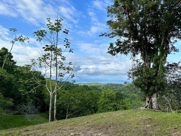 Development Parcel in Puerto Jimenez