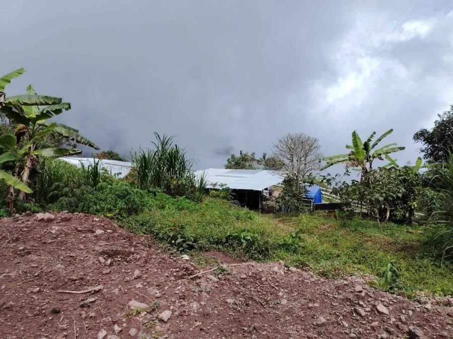 EN VENTA COSTA RICA:VISTA PANORÁMICA EN PÁRAMOPÉREZ ZELEDON - Venta en Perez Zeledón, photo 12