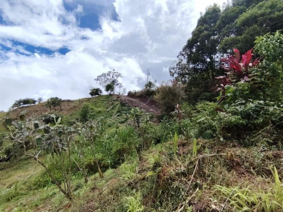 EN VENTA COSTA RICA:VISTA PANORÁMICA EN PÁRAMOPÉREZ ZELEDON - Venta en Perez Zeledón, photo 13
