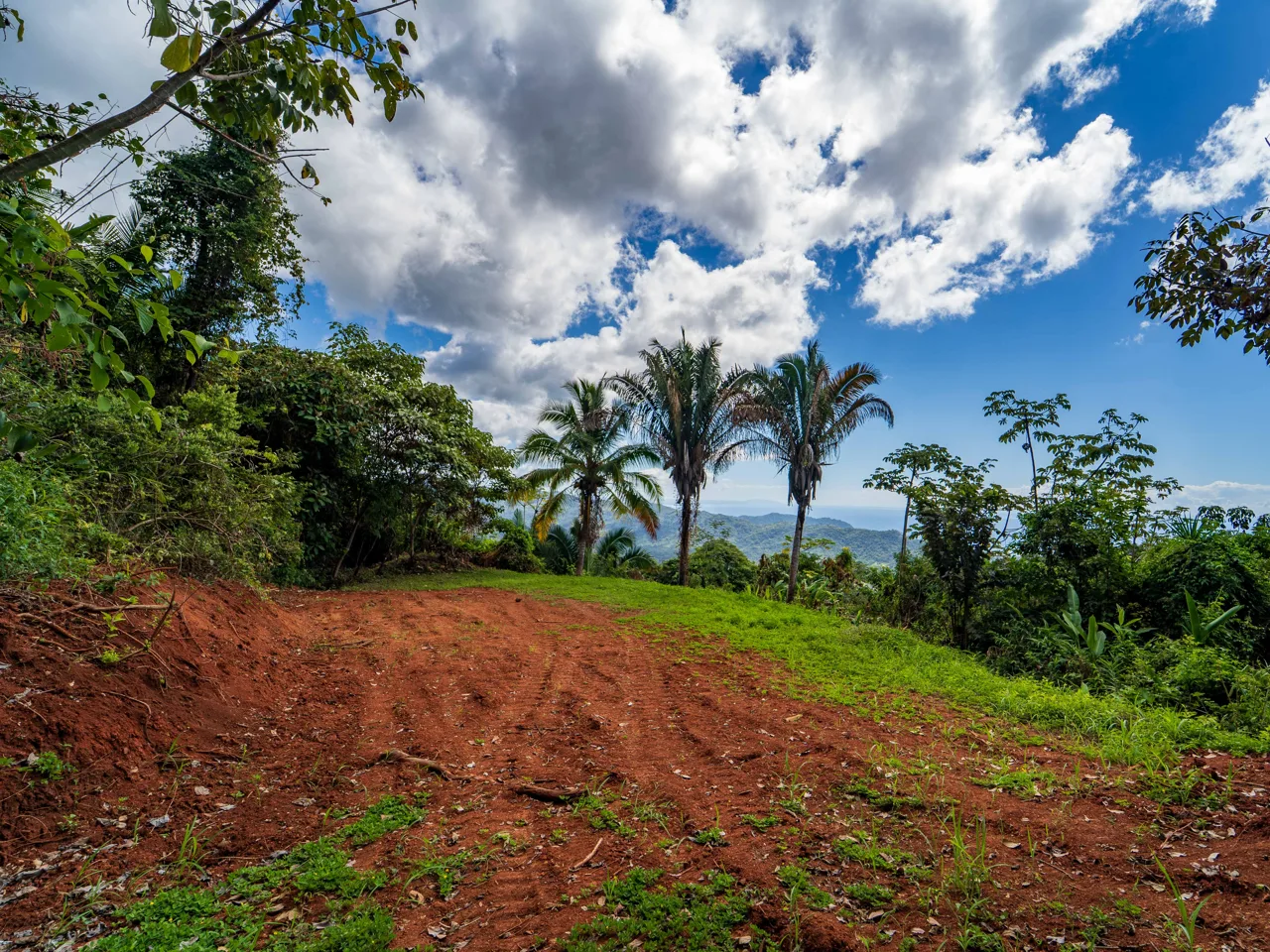 Lote Tres Palmas - Stunning Ocean View - Reduced Price, Motivated Seller, photo 8
