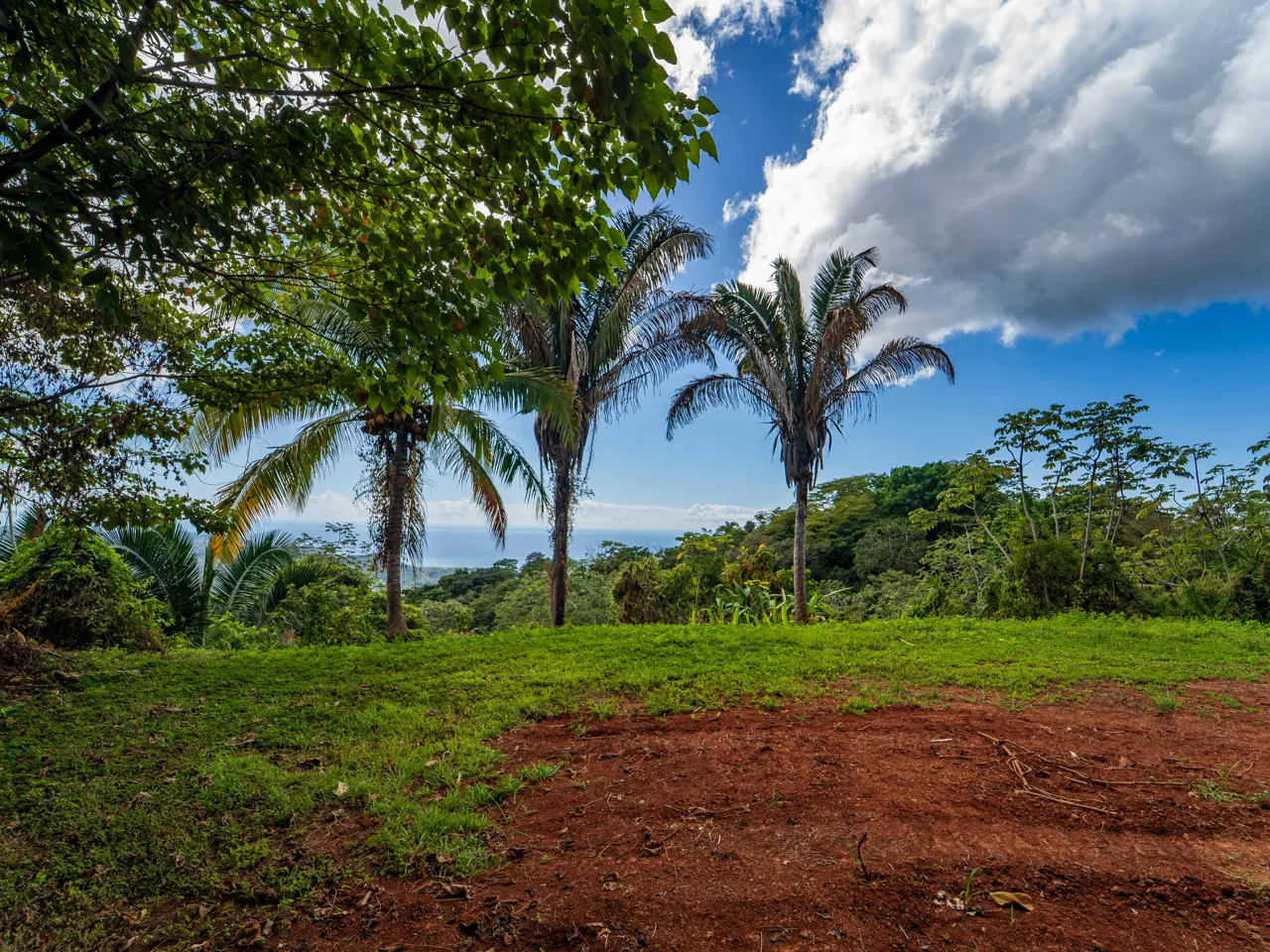 Lote Tres Palmas - Stunning Ocean View - Reduced Price, Motivated Seller, photo 10