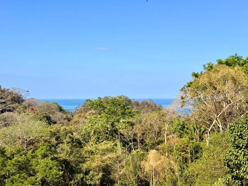Land For Sale in Delicias
