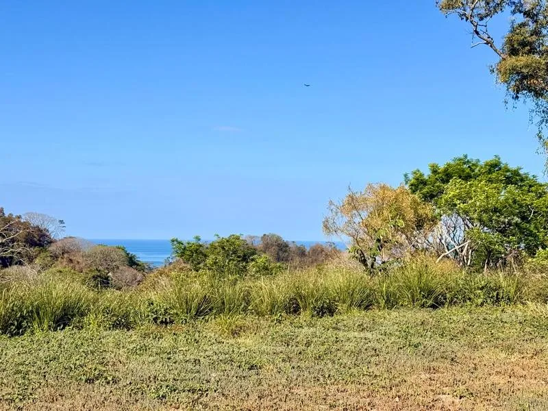 Land For Sale in Delicias, photo 2