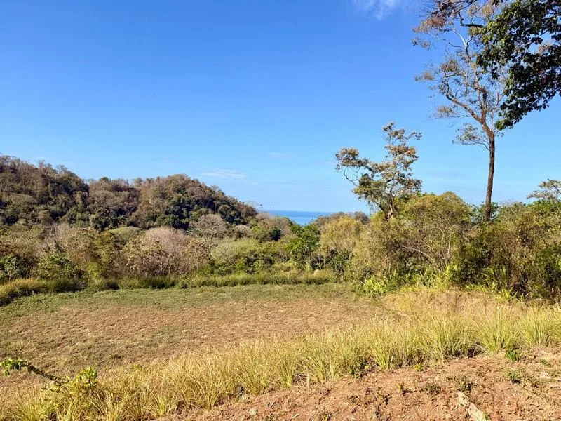 Land For Sale in Delicias, photo 3