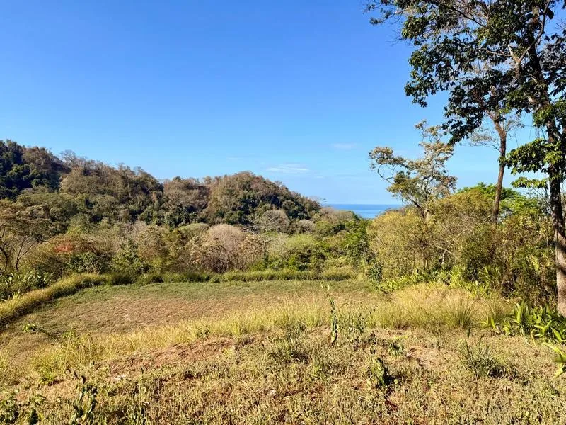 Land For Sale in Delicias, photo 4