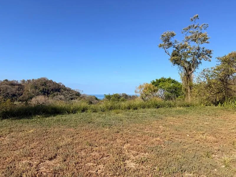 Land For Sale in Delicias, photo 5