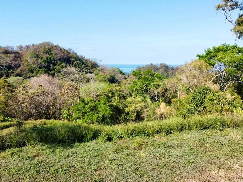 Land For Sale in Delicias, photo 6