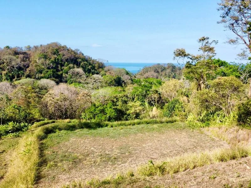 Land For Sale in Delicias, photo 8