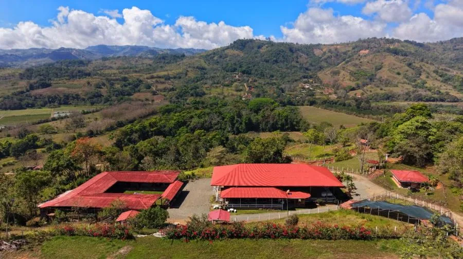 RANCHO Y FINCA ECUESTRE EN VENTA EN PACUAR, PÉREZ ZELEDÓN – 16 HECTÁREAS - Venta en Perez Zeledón, photo 11