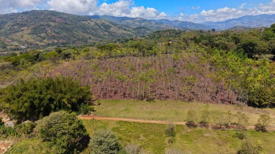 RANCHO Y FINCA ECUESTRE EN VENTA EN PACUAR, PÉREZ ZELEDÓN – 16 HECTÁREAS - Venta en Perez Zeledón, photo 15
