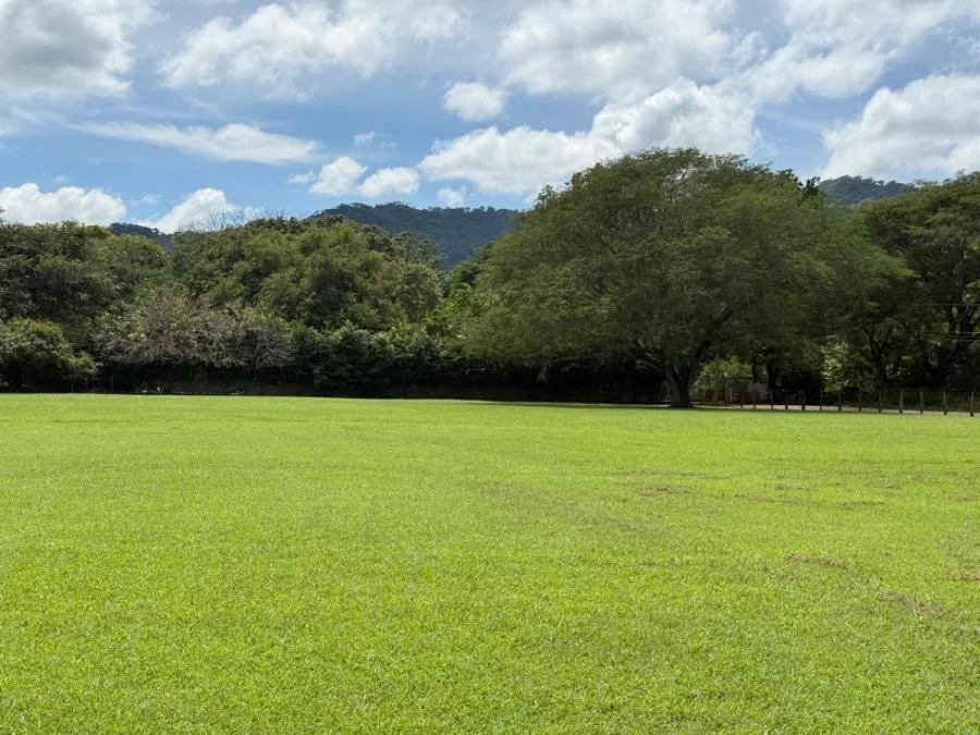 Terreno en Venta en Guadalupe, Goicoechea RAH #222537 - Venta en Guadalupe, photo 11