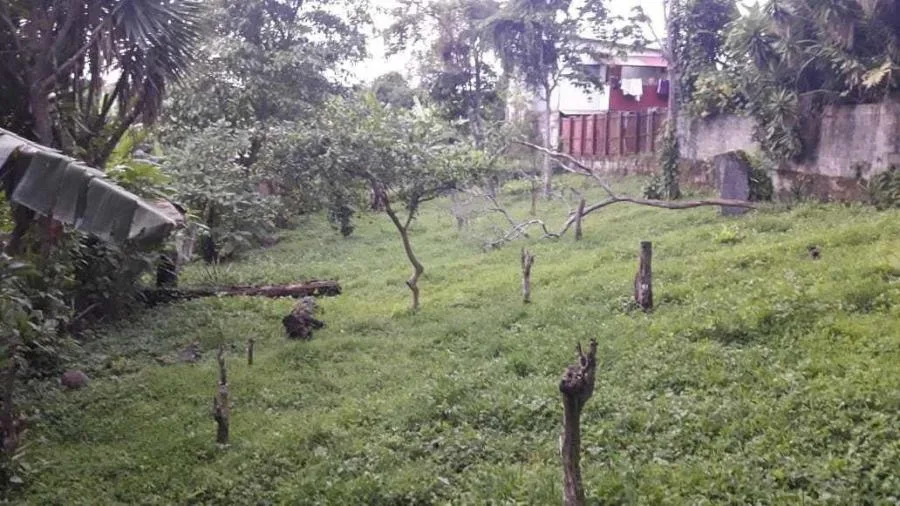 Terreno en Venta en Guadalupe, Goicoechea RAH #222537 - Venta en Guadalupe, photo 4