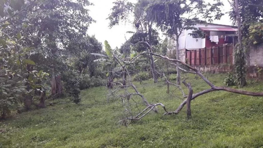 Terreno en Venta en Guadalupe, Goicoechea RAH #222537 - Venta en Guadalupe, photo 5
