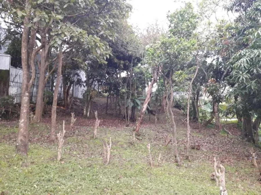 Terreno en Venta en Guadalupe, Goicoechea RAH #222537 - Venta en Guadalupe, photo 7