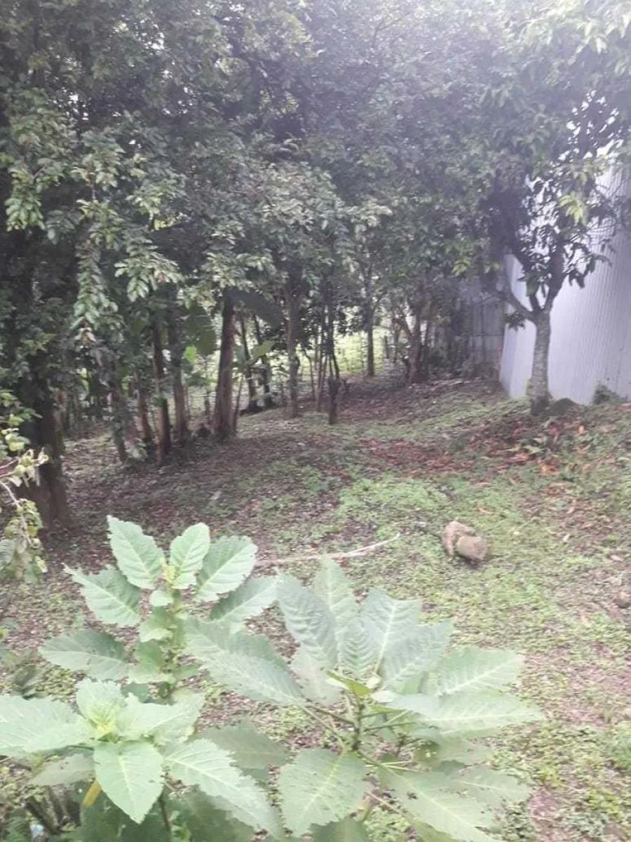 Terreno en Venta en Guadalupe, Goicoechea RAH #222537 - Venta en Guadalupe, photo 9