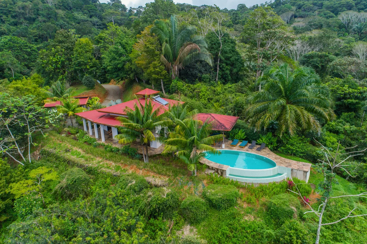 MOUNTAIN PROPERTY WITH A PARTIAL OCEAN VIEWS, IN PLATANILLO – 2.6 ACRES, photo 5