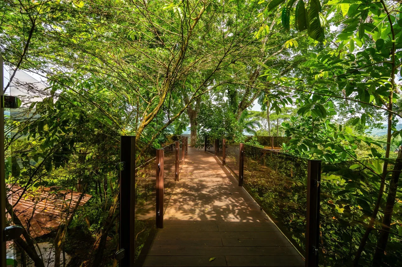 Nauyaca Estate, photo 4