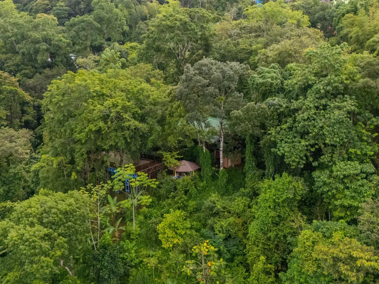 Nauyaca Estate, photo 6