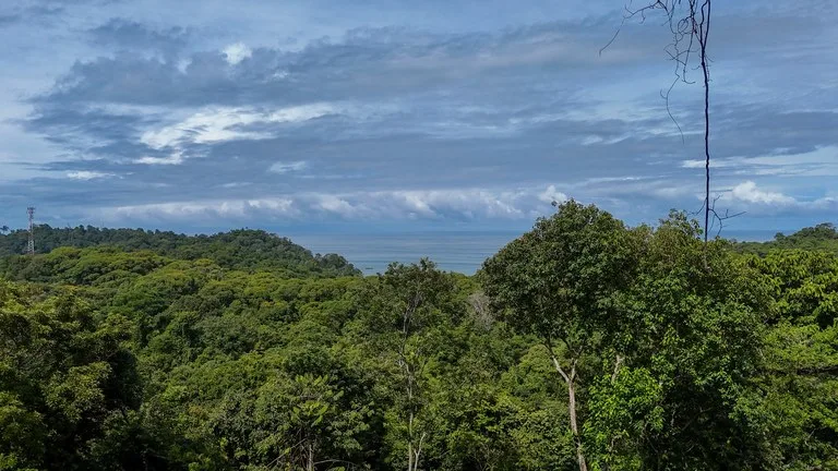 Spectacular Ocean view on 7.7 acres: Mountain Home Construction Site For Sale in Bahía Ballena, photo 12