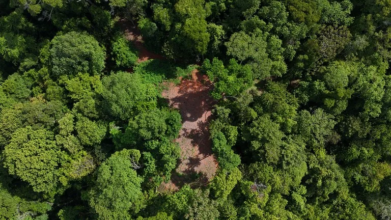 Spectacular Ocean view on 7.7 acres: Mountain Home Construction Site For Sale in Bahía Ballena, photo 6