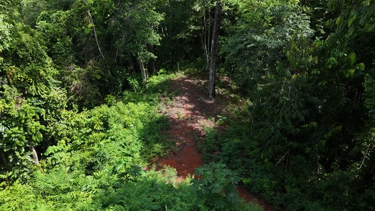 Spectacular Ocean view on 7.7 acres: Mountain Home Construction Site For Sale in Bahía Ballena, photo 8