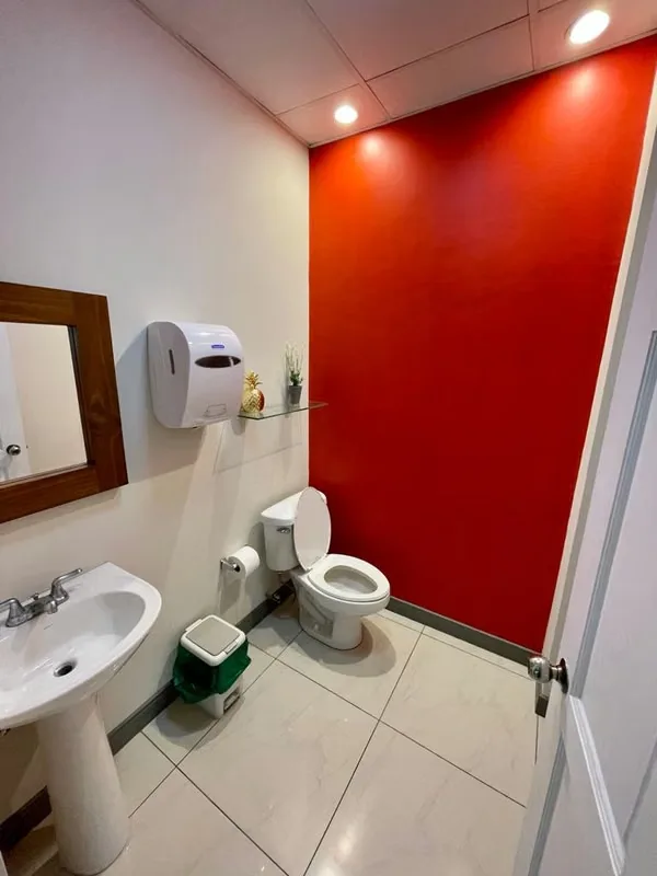 Para venta exclusivo y lujoso edificio para oficinas o comercio situado en la mejor zona del Boulevard Dent en San Pedro de Montes de Oca, es de 3 niveles, mide 520 m2 de construcción ..., photo 6