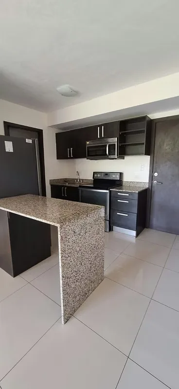 Apartamento en primer piso de una sola planta , compuesto de sala comedor,terraza, jardín, cocina con muebles de cocina, linea blanca (cocina, nevera, microondas, area de lavandería, ..., photo 4