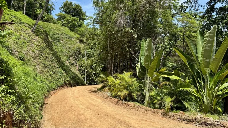 Exclusive and Unique Ocean Views lot in the Hills of Uvita!, photo 6
